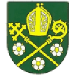 دروزستيفنيك بشينوف logo