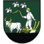 كيخنيتس logo