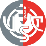 كريمونيزي logo