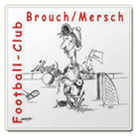 Brouch logo