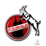 فيولين logo