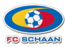 شاان logo