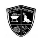 فيجري مارجاماي logo