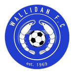 Wallidan logo