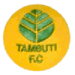 تامبوتي logo
