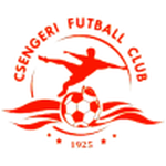 تسينجر logo