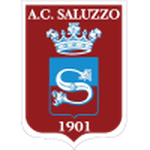 ساليزو logo