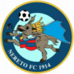نيريتو logo