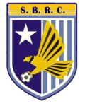 Somerset Eagles logo