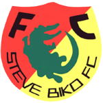 ستيف بيكو logo