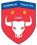 تشيدل تاون logo