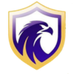فالكون  عامًا logo