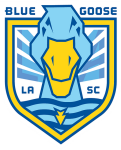 بلو غوس logo