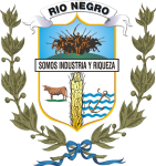 ريو نيغرو logo
