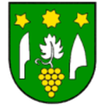 فينوهارد تشيبوفسي logo