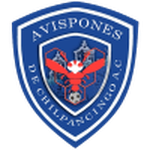 Chilpancingo logo