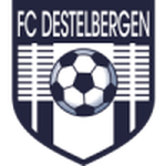 ديستلبيرجن logo