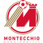 مونتيكيو ماجوري logo