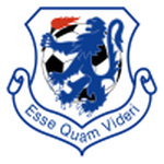 لونسيستون يونايتد logo