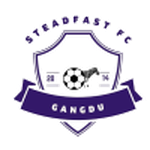 ستييدفاست logo
