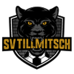 تيلميتش logo