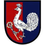 بتروالد نا مورافيه logo