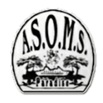 Paradise logo