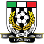 لونسيستون  logo