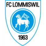 لوميسفيل logo