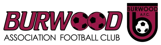 بورود logo