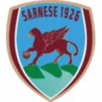 سارنيسي logo