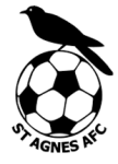 سانت أغنيس logo