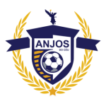 أنجوس دو سيو  logo