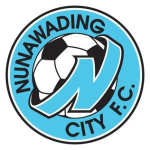 نونوايدينغ logo