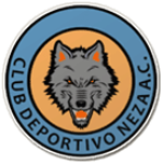 نيزا logo