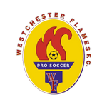 ويستشستر فليمز logo
