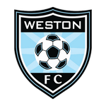 ويستون logo
