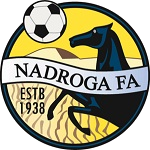 نادروجا logo