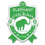 إليفانت كولي logo