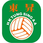 تونغ سينغ logo