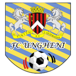 أونغيني logo