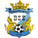 بالاساجيرمات في إس إي logo