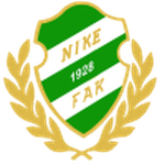 فيزفوي logo