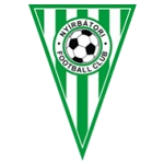 نيرباتوري logo