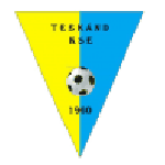 تيسكاند logo