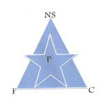 نيو ستار logo
