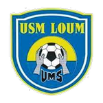 يو إم إس دي لوم logo