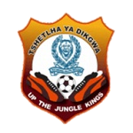 بوليس إكس آي logo