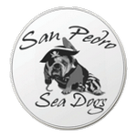 سان بيدرو logo