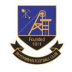 ريديموين logo